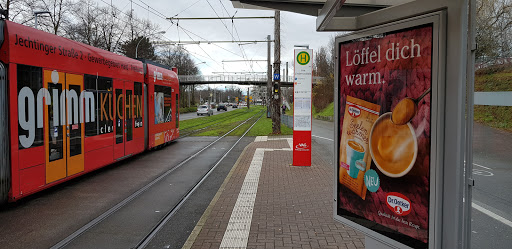 Am Lindenwäldle - Freiburg im Breisgau - Thumbnail