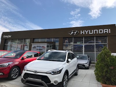 Photos of Young Hyundai