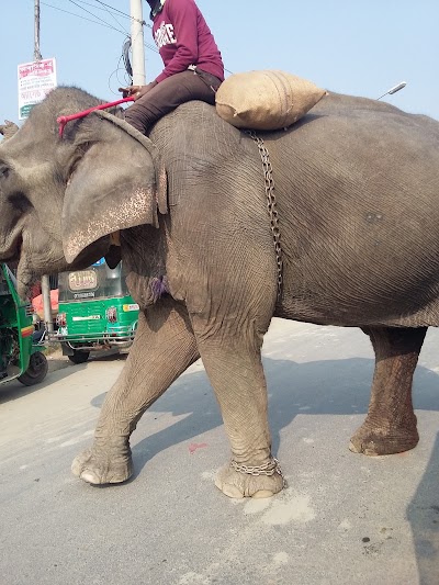 Photos of আলীপুর বড়বাড়ি মসজিদ