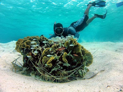Photos of Roatan Getaway Tours