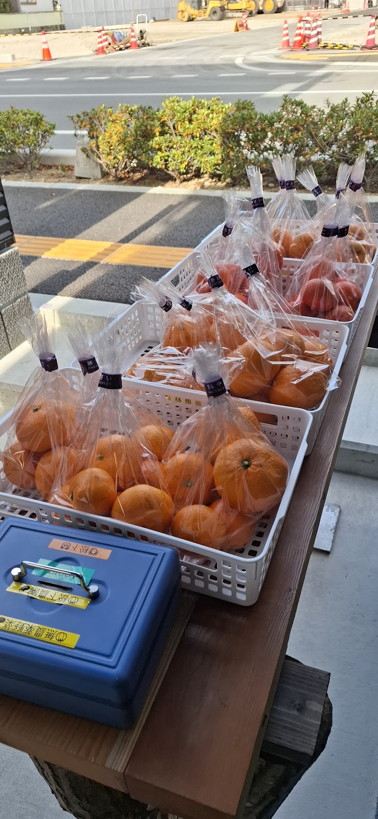 無農薬野菜無人販売所100円市場