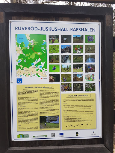 Räfshalen - Visual
