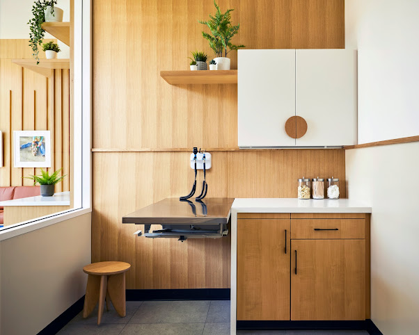 Modern Animal by null