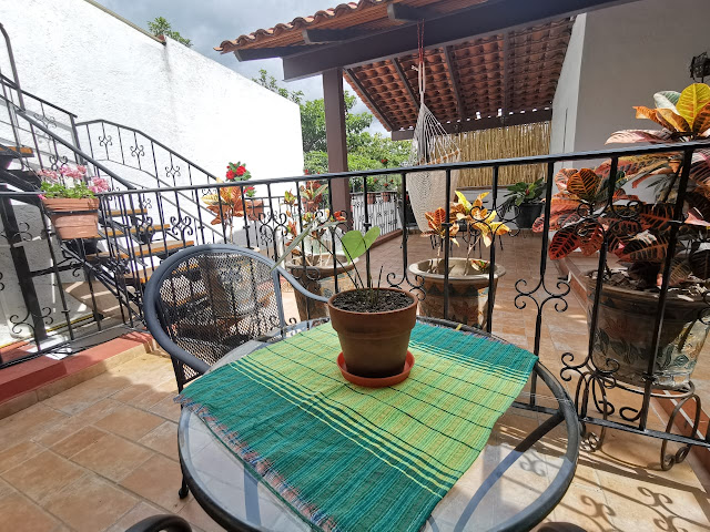 Casa Ollin Bed & Breakfast by null