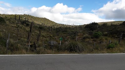 Photos of Parador Colombia 86