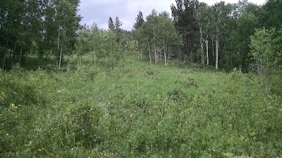 Photos of Columbine Campground