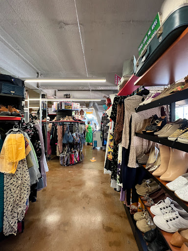 Vinnies Braddon - Thumbnail