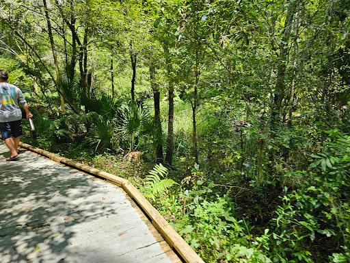 Monkey Island trail - Visual
