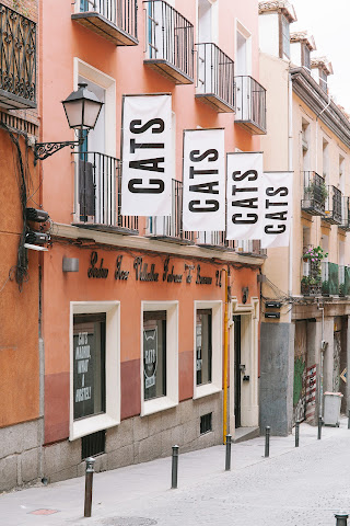 CATS Chill Out Hostel by null