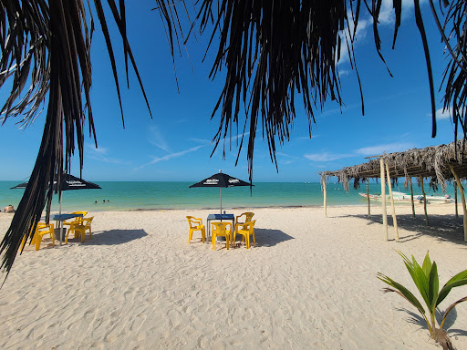 Restaurante Tortugas - Thumbnail