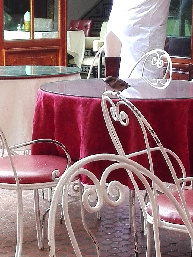 Restaurant El-Bahia