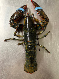 Photo n°4 de Café de la Place à Alignan-du-Vent (Bar)