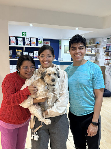 Hospital Veterinario Bark & Meow