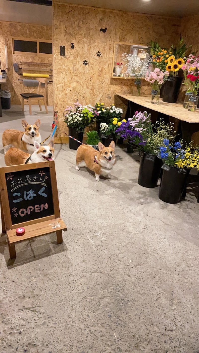 お花屋さん こはく