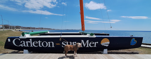 Carleton sur mer - Visual