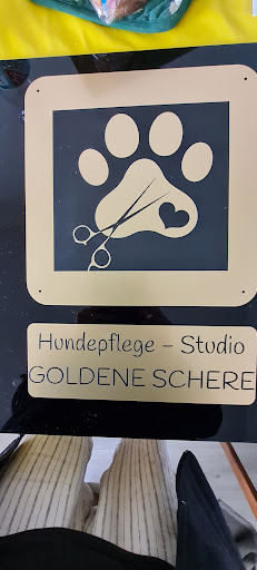 Studio Goldene Schere - Thumbnail