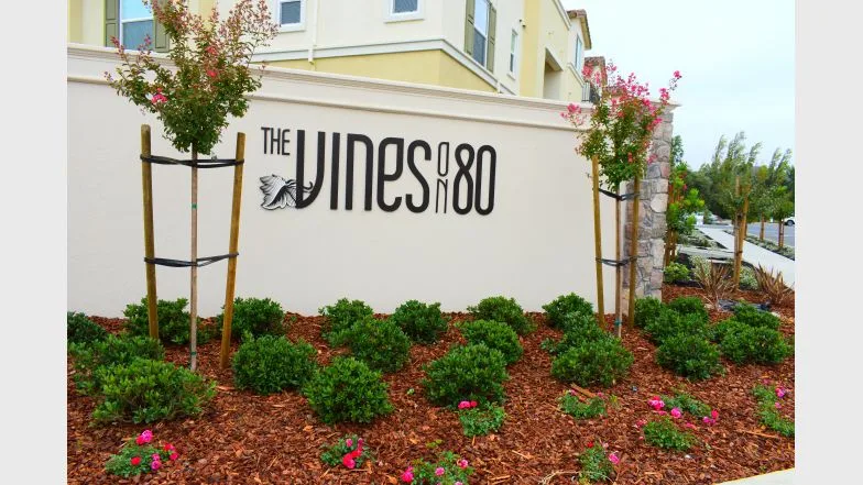 Vines on 80