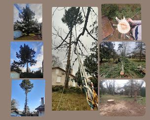 Photo n°14 de Ludovic Assie Gascogne 82 à Verdun-sur-Garonne (Jardin)