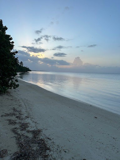 Joel’s Beach - United States