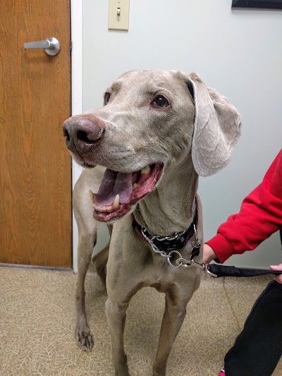 Photos of North Kenny Veterinary Hospital