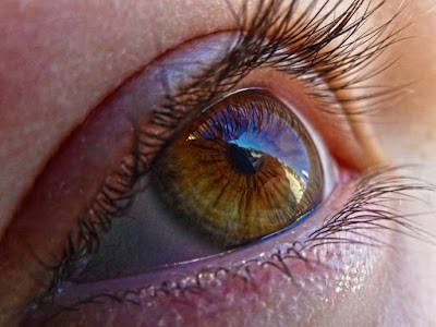Photos of North - Eye Center