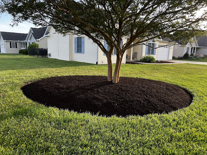 Lopez lawn care landscaping LLC