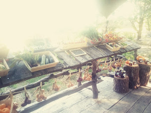 Photo n°68 de Le Domaine des Minis à Arvert (Ferme)