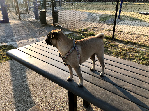 Mud Island Dog Park - Thumbnail