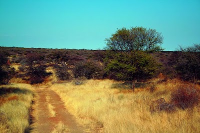 Photos of Farm Eahero