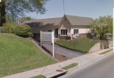 Addison Animal Hospital