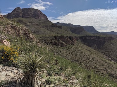 Oliver Lee Memorial State Park