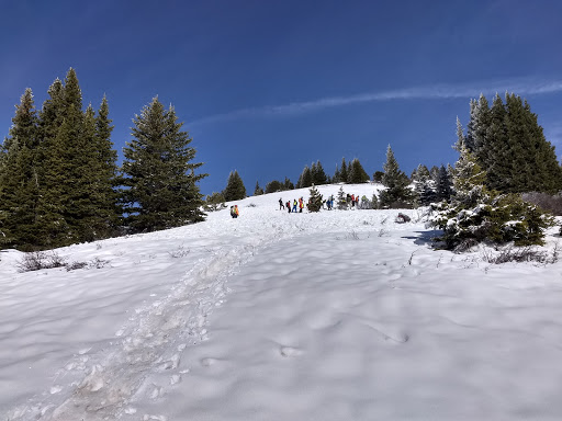 Rabbit Ears Pass East Summit