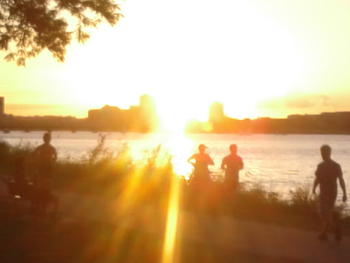 Tupper Family Memorial Public Park - Thumbnail