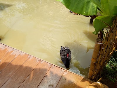 Photos of Nahm Dong Park
