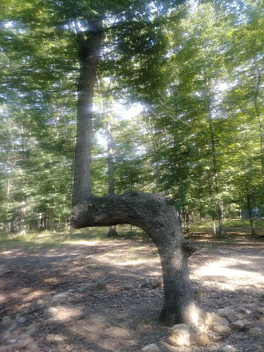 Hawthorn Campsite - Thumbnail