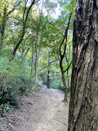 Clanz al ponticello (Parco Farneto) - Thumbnail