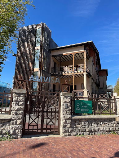 AMVISA - Visual