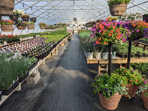 Annies Greenhouse - Thumbnail