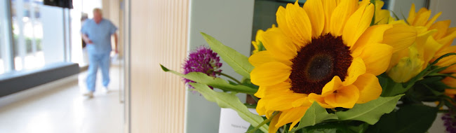 Senova Dental Studios - Watford