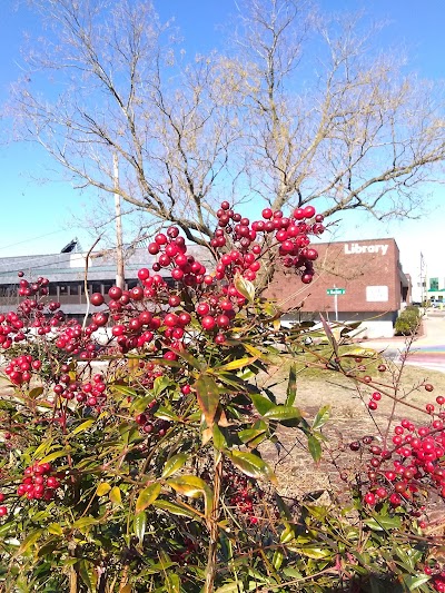 Wicomico Public Libraries - Downtown Branch