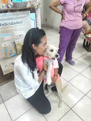 Veterinaria Make Vet