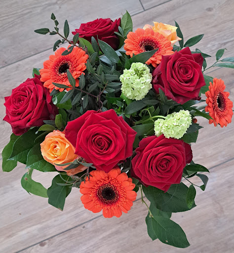 Blumen Hummel - Visual
