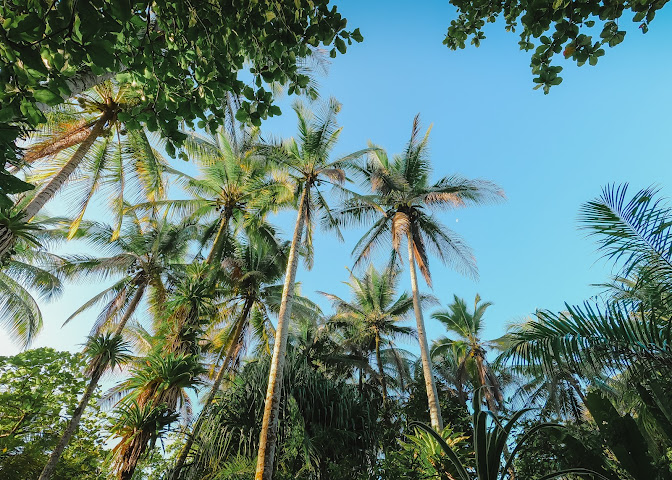 Villa Paraiso Beach Vacation Rentals by null