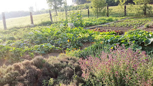 Photo n°33 de Les mout'ânes chambres et table d'hôtes en Avesnois à Saint-Hilaire-sur-Helpe (Parking)