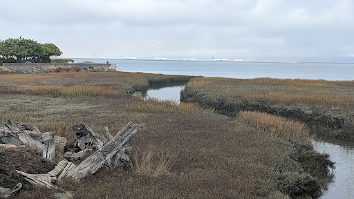 City of Burlingame Shorebird Sanctuary - Thumbnail