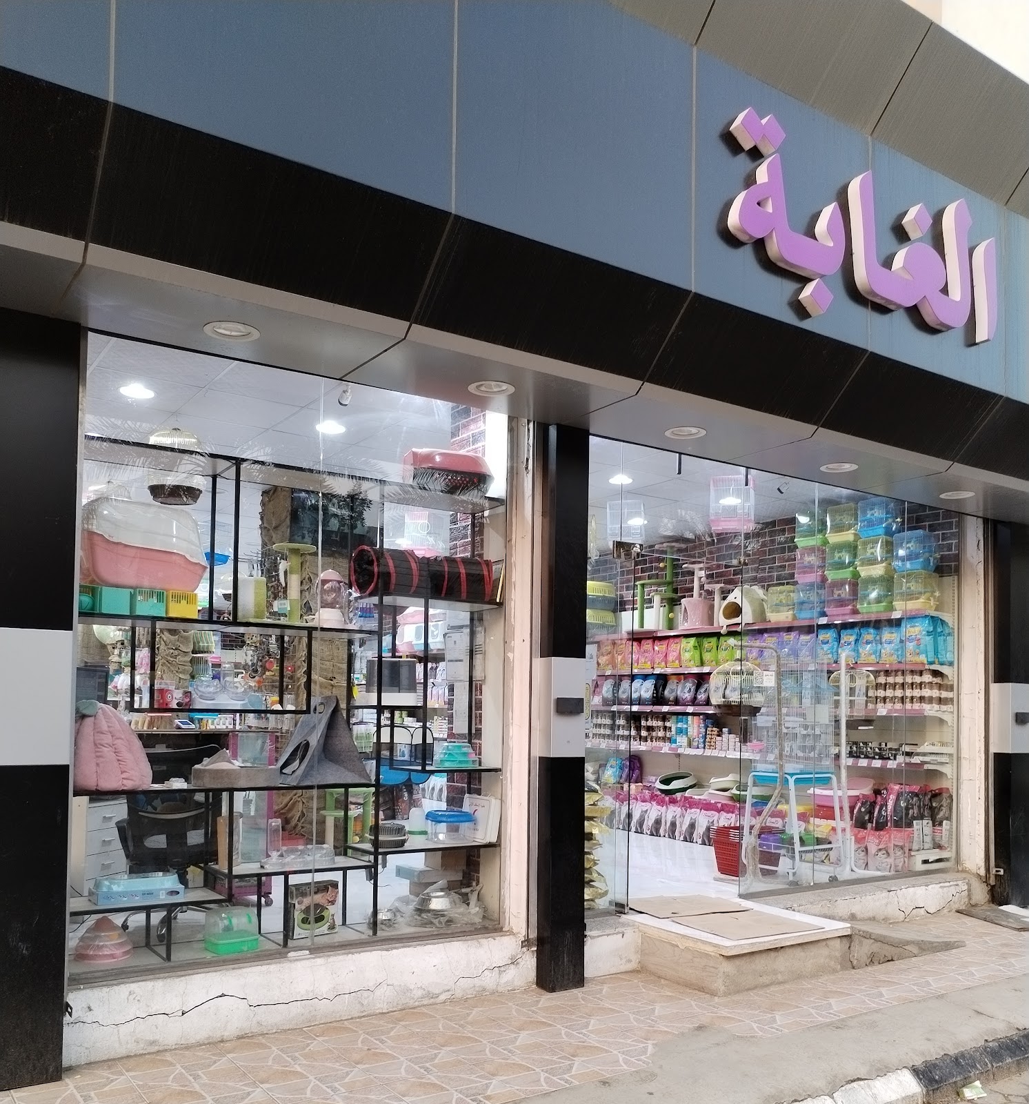 العصافير الجميلة - صورة 5