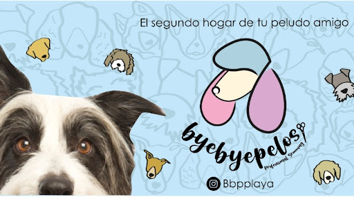 Estetica Canina Bye Bye Pelos