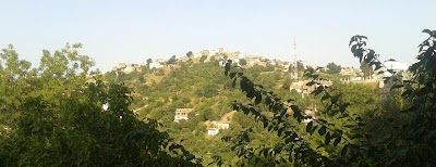 Photos of Taguemount-Azzouz