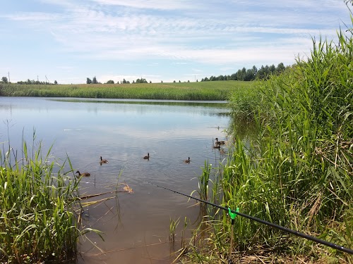 Kaunas Reservoir