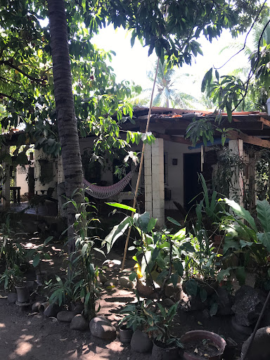 Punta roca surf house